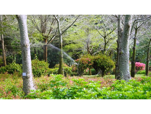 停车场绿化工程规范标准