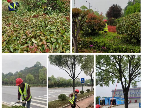 市民爱护城市绿化工程标语