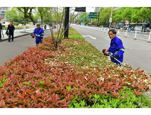 现在城市绿化覆盖率